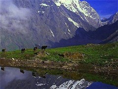 四姑娘山