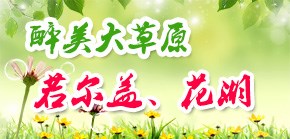 首页(2)门票左下广告1